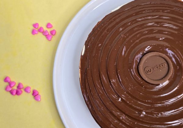 Nutella Cheesecake