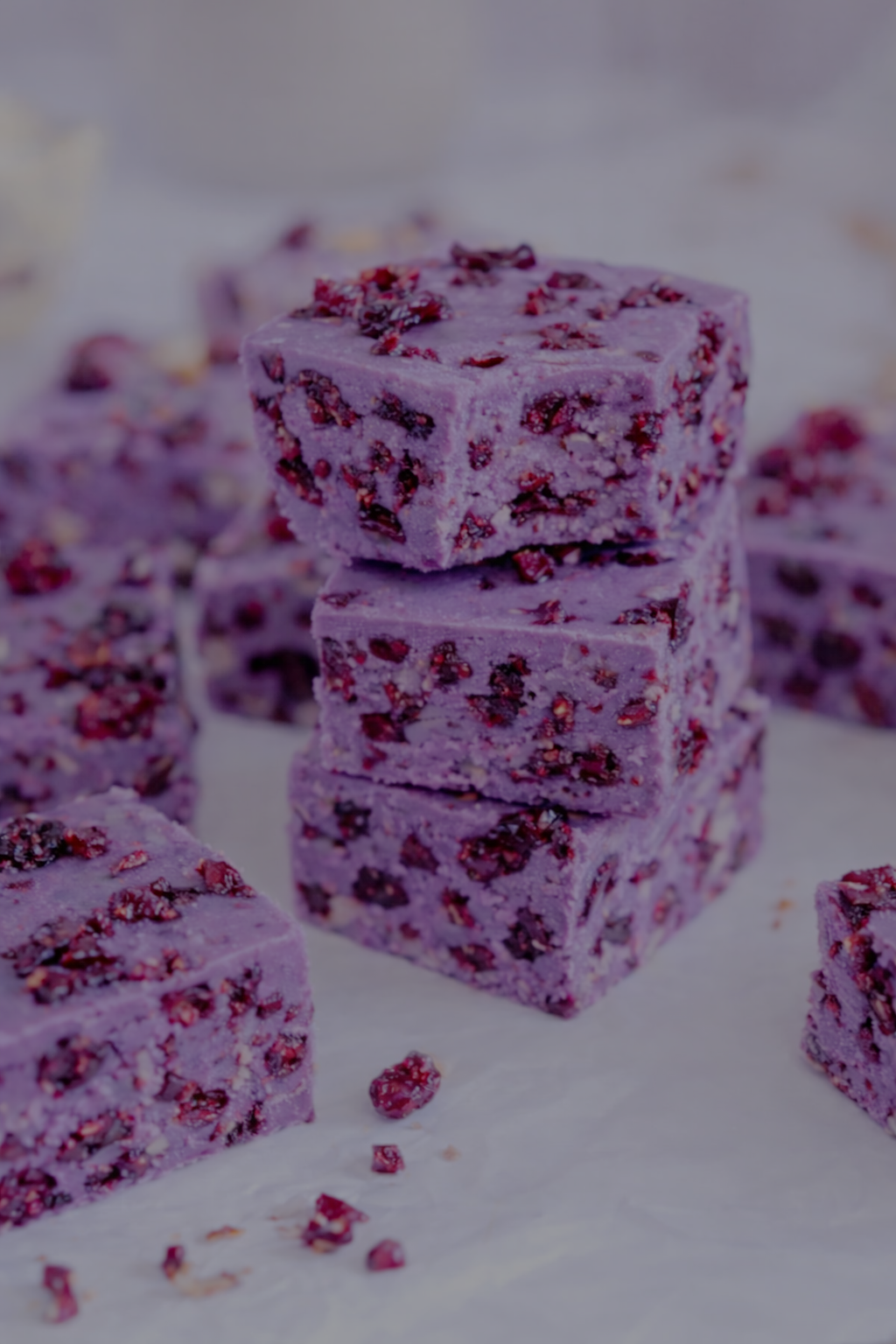 Cranberry chocolate bite